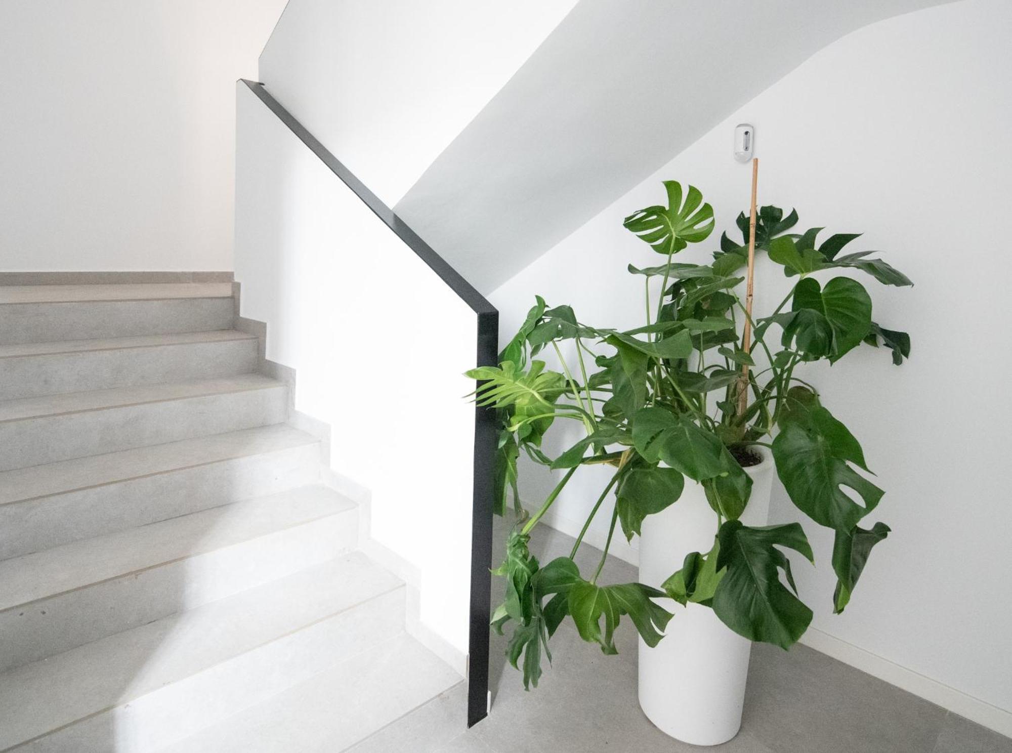 Apartamento Valencia Malvarrosa Екстериор снимка